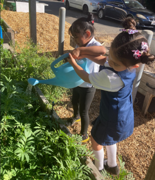 Screenshot 2025 08 26 092818